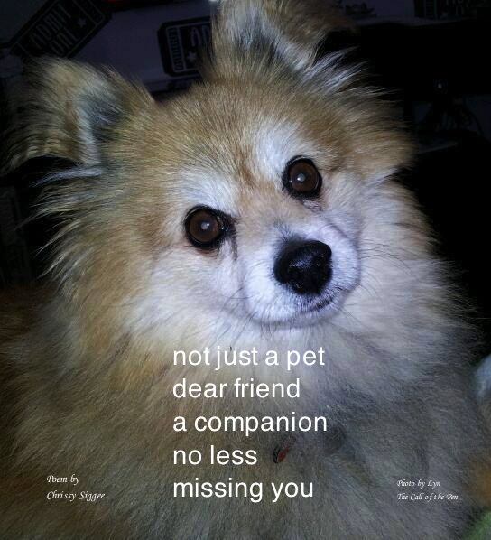 11024650_1569911449916011_7382040162283915639_n-imp